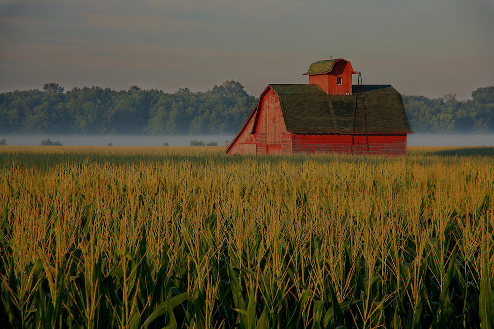 farm and crop insurance Trussville AL